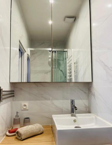 une salle de bain avec un lavabo et un miroir dans l'établissement Le Nid Douillet de Patricia, à Paris