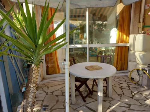une petite table blanche et une plante dans une pièce dans l'établissement T2 en villa à 20mn du centre, à Toulon