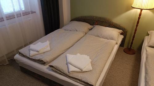 ein Bett mit zwei Kissen auf einem Zimmer in der Unterkunft Apartmán Horní Slavkov Hodinářství in Horní Slavkov