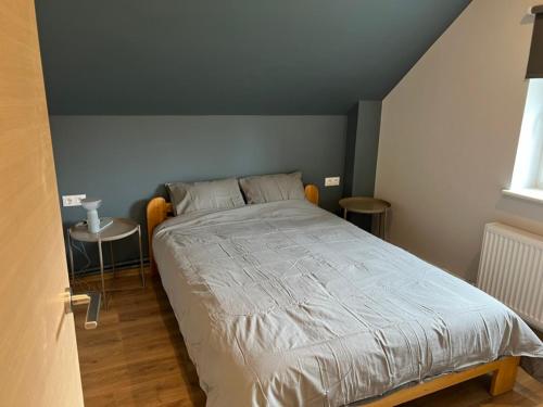 a bedroom with a large bed in a room at Mazā Kaija in Bērzciems