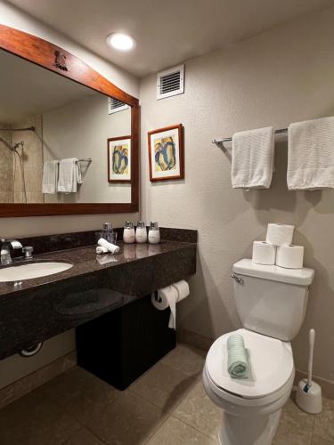 a bathroom with a toilet and a sink and a mirror at Luana Waikiki Park Views in Honolulu