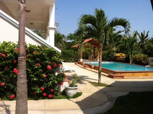 a house with a swimming pool and a palm tree at Pedasi Sports Club in Pedasí Town