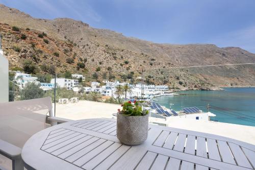 a potted plant sitting on a table on a balcony at Molos Apartments in Loutro