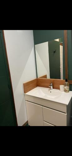 uma casa de banho com um lavatório e um espelho em Lilicam Studio em Saint-Georges