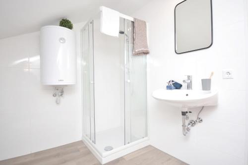 ein weißes Bad mit einer Dusche und einem Waschbecken in der Unterkunft ERH02-FW Apartment in Herzogenaurach in Herzogenaurach