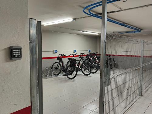 Jízda na kole v ubytování Hotel Borrell nebo okolí