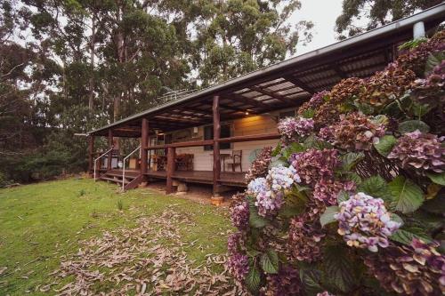 a house with a bunch of flowers in front of it at Seaview Retreat in Adventure Bay