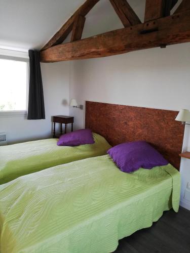 - 2 lits dans une chambre de couleur verte et violette dans l'établissement GITE LA BLANCHE LONGERE, à Compertrix