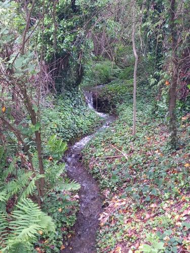 a dirt path through a forest with a creek at Cèdres Bleus de Joany chez Nathalie in Viviez