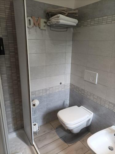 a bathroom with a toilet and a shower at B&B Perbaccobar in Ono San Pietro