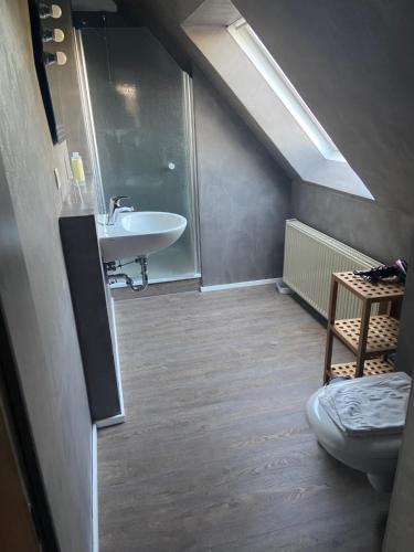 a bathroom with a sink and a toilet and a skylight at Hotel & Gasthof Zur Linde in Middelhagen
