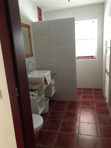a bathroom with a toilet and a sink at Appartement zum Rössl in Ramsau am Dachstein
