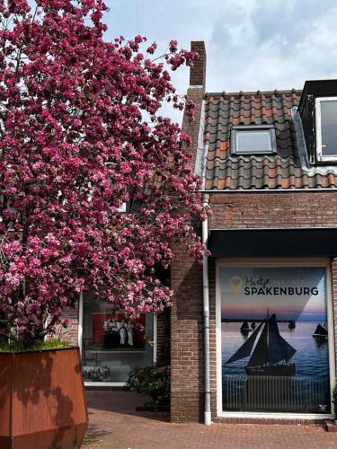 a tree with pink flowers in front of a building at B&B Hartje Spakenburg in Spakenburg