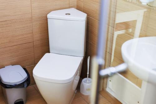 a small bathroom with a toilet and a sink at Hotel Central - Baile Olanesti in Băile Olăneşti