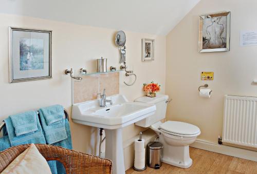 uma casa de banho com um lavatório e um WC em Orchard Cottage Monmouthshire 