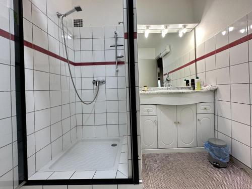a bathroom with a shower and a sink at Gîte de NOE au Ray-pic in Péreyres