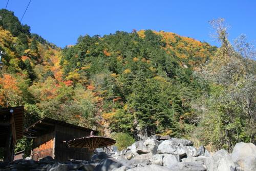 a view of a mountain with fall foliage at Shinzanso in Takayama