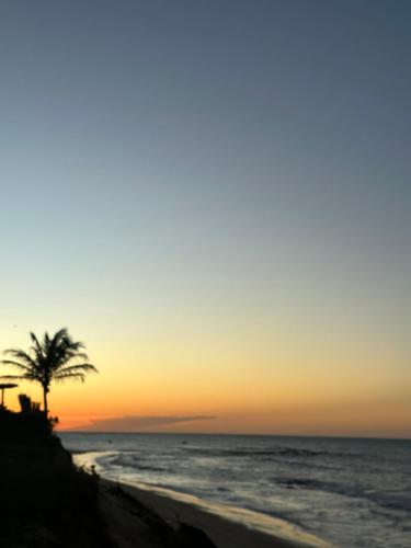 a palm tree on the beach at sunset at Espetacular Casa de Charme em São Miguel do Gostoso - Salou in São Miguel do Gostoso