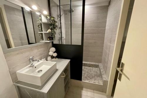 bagno con lavandino e doccia di Appartement Pereire ad Arcachon
