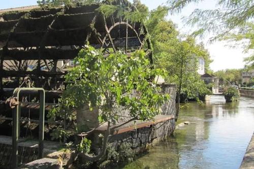 un arbre à côté d'une masse d'eau dans l'établissement Joli appartement au cœur de la ville, à LʼIsle-sur-la-Sorgue