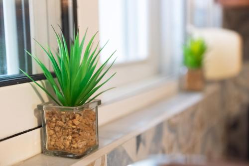 a plant in a glass vase on a window sill at Iasonas House 85m2 in Preveza