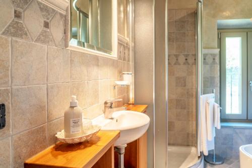 W łazience znajduje się umywalka i prysznic. w obiekcie Villa Fenice Country House w mieście Borgo a Mozzano