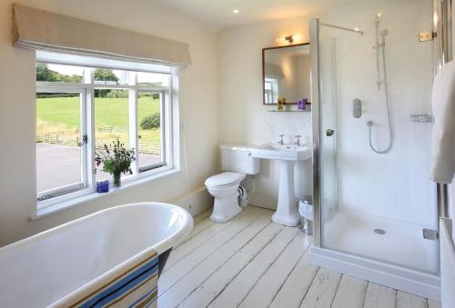 a bathroom with a tub and a toilet and a sink at Upper Mowley in Kington
