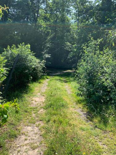 a dirt road in the middle of a field at Studio à Linxe entre terre et océan in Linxe
