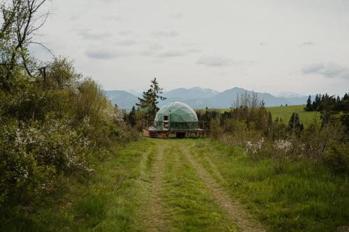 Природа в окрестностях люкс-шатра