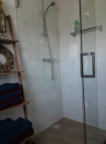 a bathroom with a shower with a glass door at B&B De Boeren Zwaluw in Slochteren