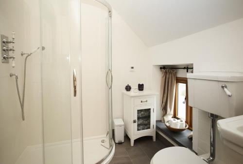 a bathroom with a shower and a toilet at The Longbarn at Caerfallen in Ruthin
