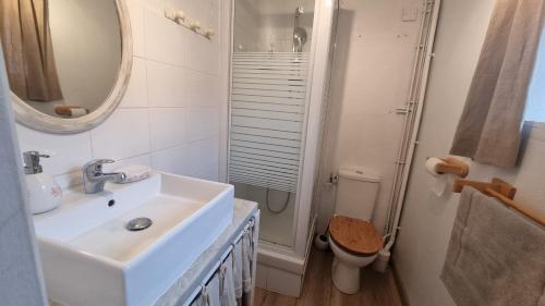 a bathroom with a sink and a toilet and a mirror at La Garance Voyageuse in Boyne