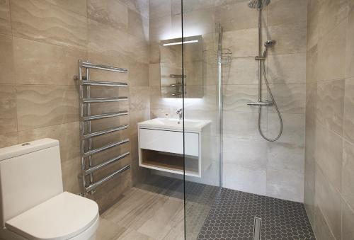 W łazience znajduje się prysznic, toaleta i umywalka. w obiekcie Teign Vale w mieście Cheriton Bishop