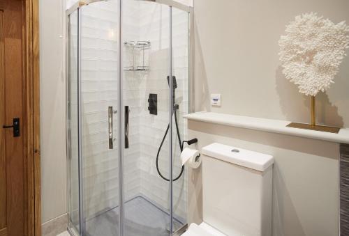 a glass shower in a bathroom with a toilet at The Cart Shed Shropshire in Downton