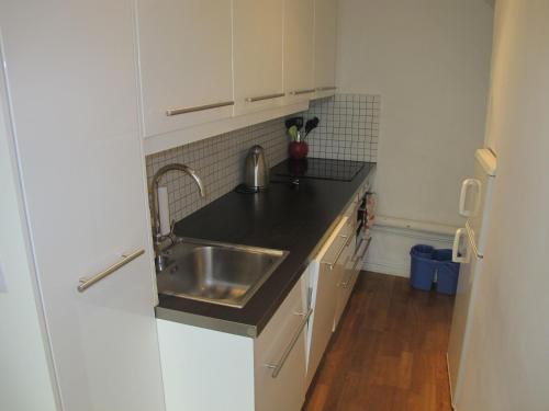 une cuisine avec un évier et un plan de travail dans l'établissement 3 Piéces climatisé 4 personnes Nice tout confort plein centre, à Nice