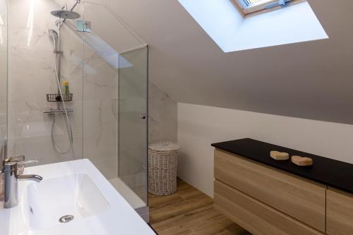 a bathroom with a sink and a glass shower at Villa Richterberg with Sauna & Hot Tub in Slovenj Gradec