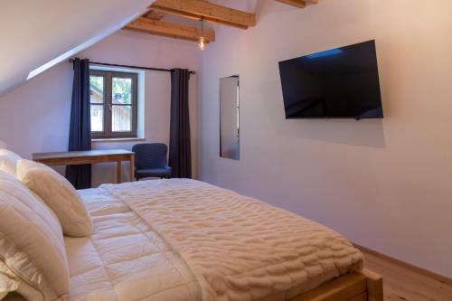 a bedroom with a bed and a television on the wall at Villa Richterberg with Sauna & Hot Tub in Slovenj Gradec