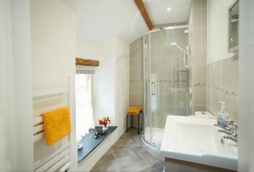 a bathroom with a shower and a sink at Troedrhiwfawr in Aberystwyth