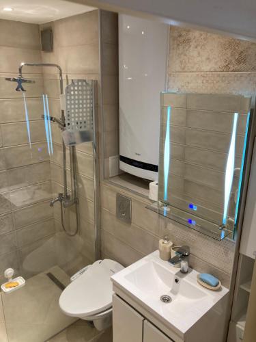 a bathroom with a shower and a toilet and a sink at Apartment Opalchenska / Pirotska in Sofia