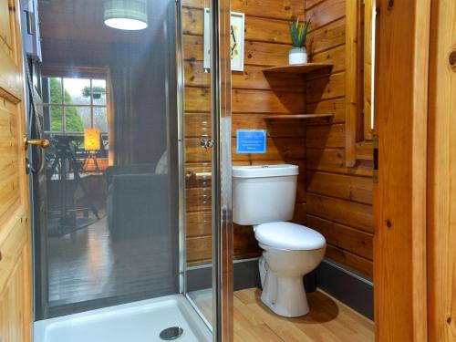 uma casa de banho com um WC e um chuveiro em Chalet 1 em Torcastle