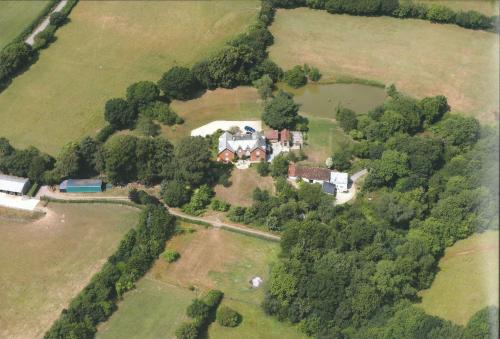 Woodland Cottage Devon – Photos 3