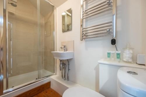 a bathroom with a shower and a sink and a toilet at Densford Cottage in Amberley