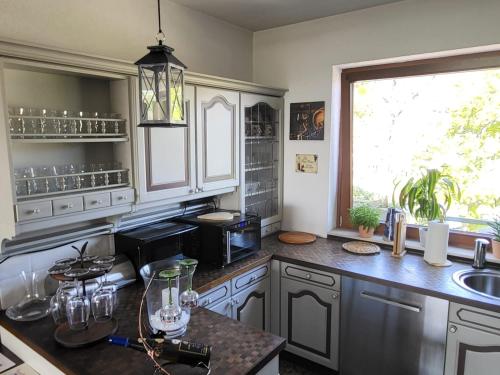 cocina con encimera, fregadero y ventana en Ferienwohnung Buenavista, en Neustadt an der Weinstraße