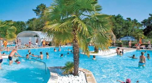 a group of people in a swimming pool with a palm tree at Mobil home camping 4 étoiles les Viviers 2 chambres in Lège-Cap-Ferret