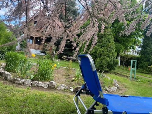 a blue chair in a yard with a flowering tree at Cabana Timeea in Ostrovu Corbului
