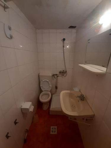 a small bathroom with a toilet and a sink at Welcome to Snad in Băile Tuşnad