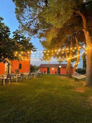 a park with a tree with lights on it at Locanda le Mandriane in Orbetello
