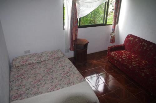um quarto com uma cama, uma cadeira e uma janela em Papaya Guesthouse em Mahé