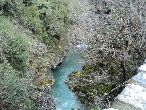 an aerial view of a river in a forest at Archontiko Nikolopoulou in Vytina