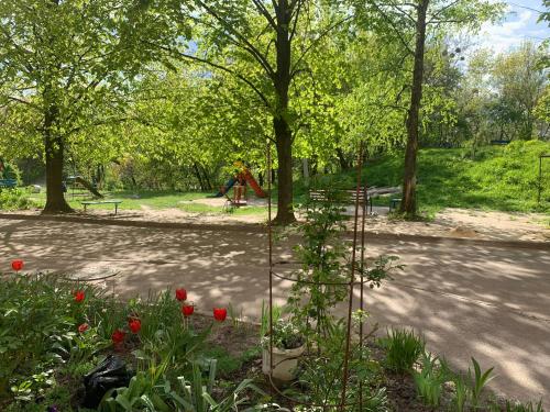 Apartaments Teris في جيتومير: حديقة بها زهور حمراء في الحديقة